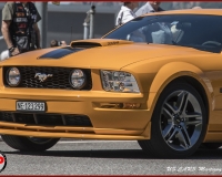 TSR Watermark - 0653